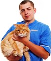 Аватара пользователя
