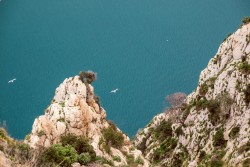 Скалы над морем с летящими птицами