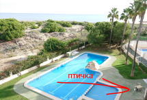 Пейзаж с бассейном и морем на фоне