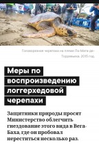 Головорезная черепаха на пляже с людьми вокруг