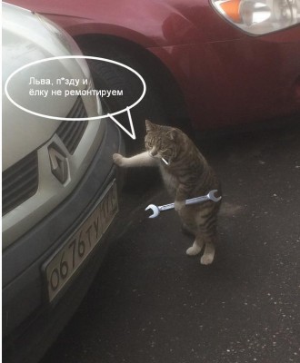 Кот с гаечным ключом у автомобиля, забавная надпись