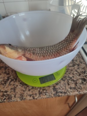 Карась