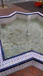 Фонтан в плиточной рамке с водой и мусором